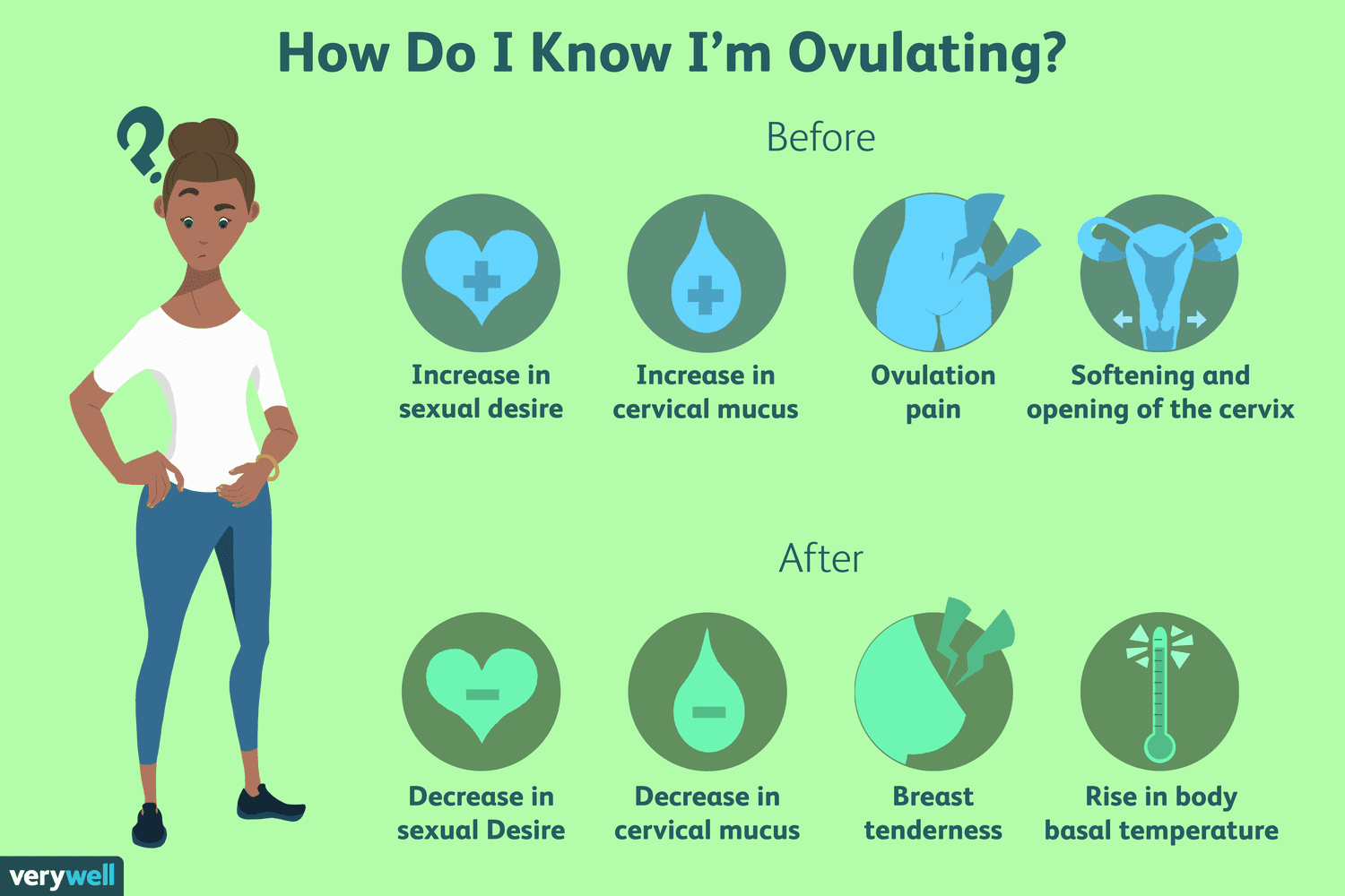 ovulating info